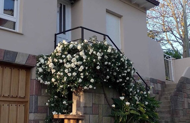 Villa Adelina. Your country house.