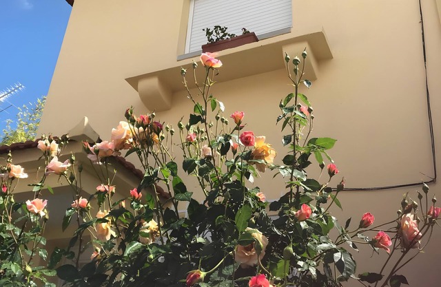 Villa 'Bairro' with Private Terrace, Private Garden and Wi-Fi