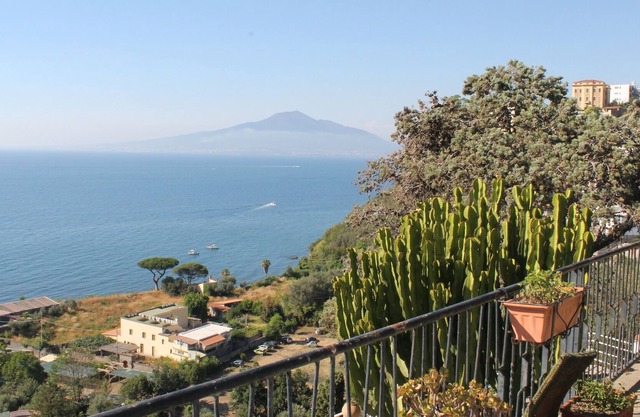 Villa Capri Top Tours Positano Capri and Pompeii in 3 days