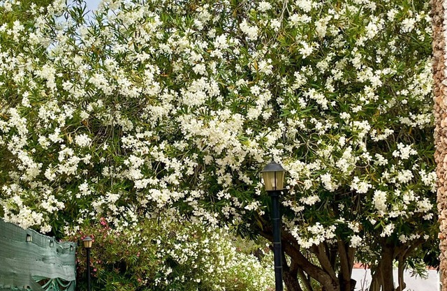 Villa in the mountains with swimming pools, 30 mins to Cuitat Valencia