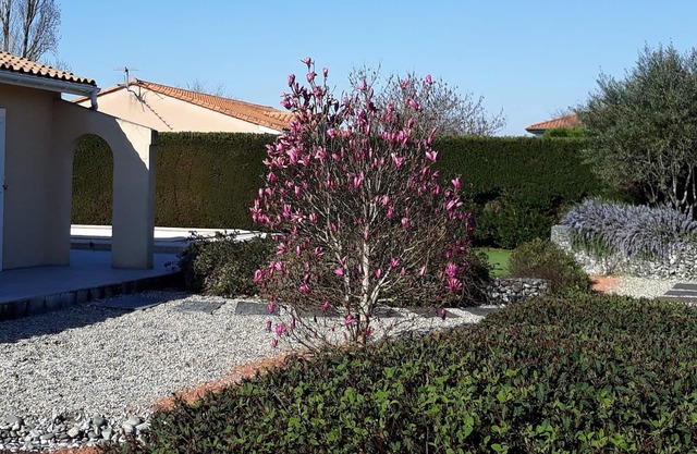 Villa near Bordeaux in the heart of the Gds Châteaux