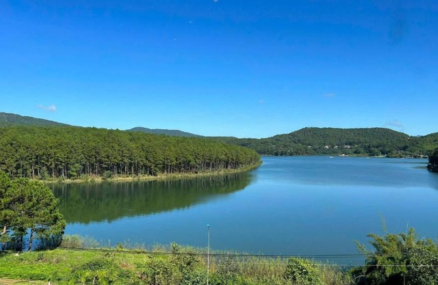 Villa Nghỉ Dưỡng Thông