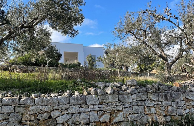 Villa on an elevated terraced olive grove with views over the Valley of Itria.