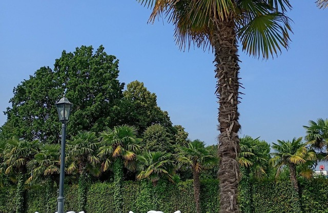 Villa Pace Park Hotel Bolognese