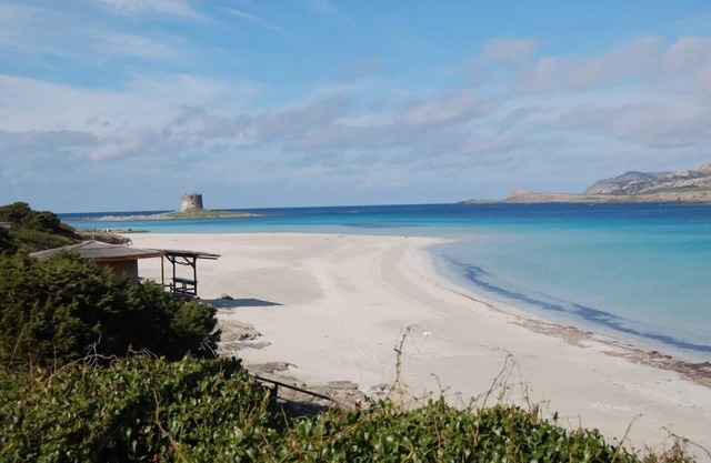 Villa sea view historic center of Stintino (Max 6 people)