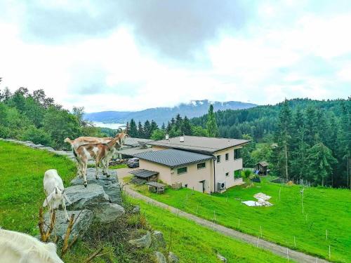 Villa Villa Techelsberg by Interhome