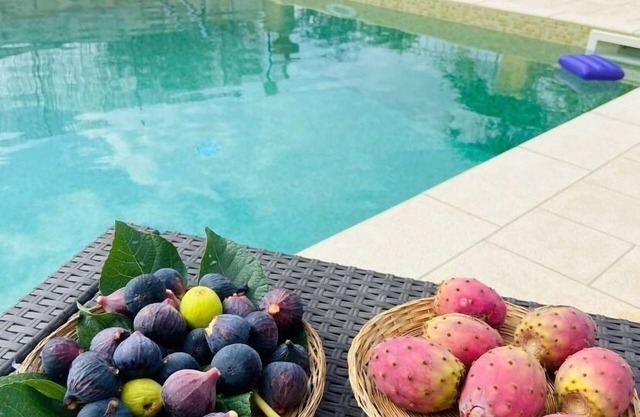 Villa with private pool - sea view near WWF natural oasis