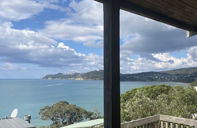 Virtually beachfront family bach, secluded Ding Bay (Langs)