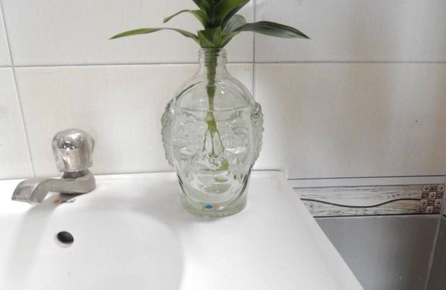 Vishal Villa - Suite 2