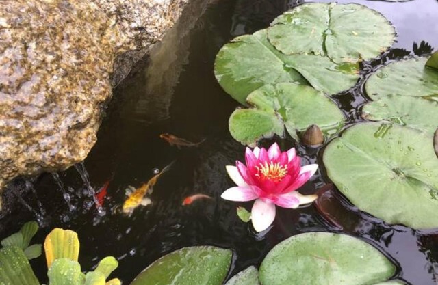 VIVA Countryside House