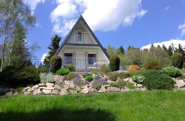 VogtlFinn - VogtlFinn - Vogtland Hochfuss with character