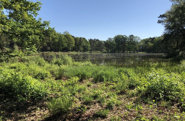 Vosseven detached bungalow Ven