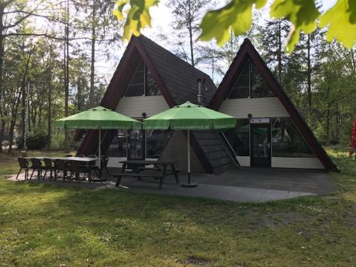 Vosseven familiebungalow 10 persoons