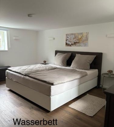 Waldblick am Rhein - Natur & Citynah -