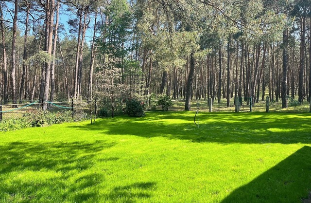 Waldhäuschen am See