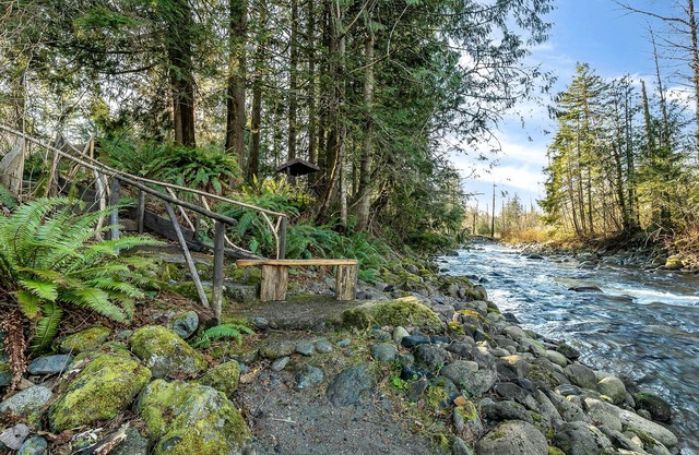 Wallace River Retreat: Magical wooded acreage