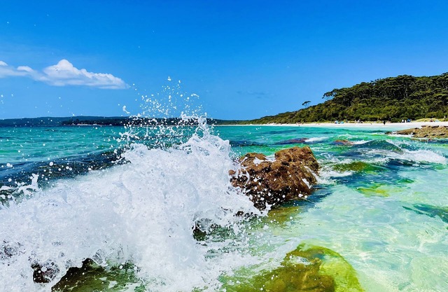 Walters Holiday Flats @ Hyams Beach (Flat 4) - Book 7 nights pay for only 6*