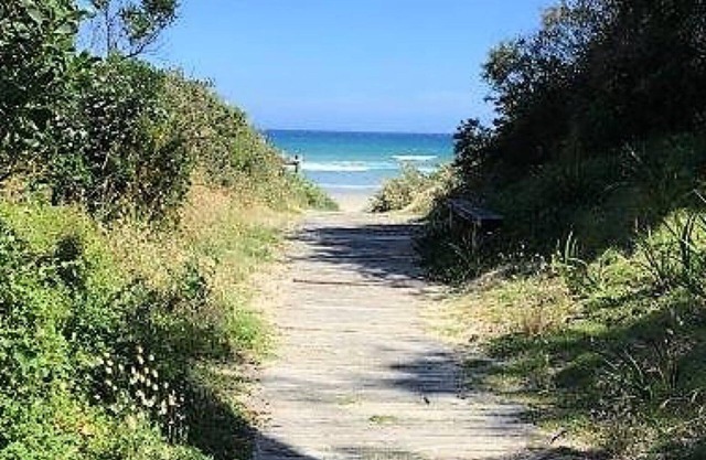Waratah Bay Tree Tops Escape