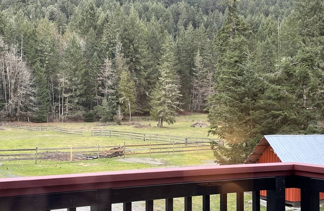 Warm, inviting updated 2 bdrm house in the forest-only minutes to town centre.