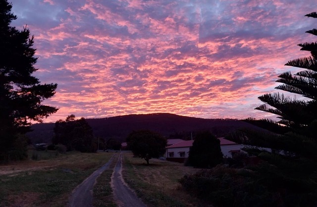 Watch the sunrise and set over the bay.nPeaceful, central & dog friendly.