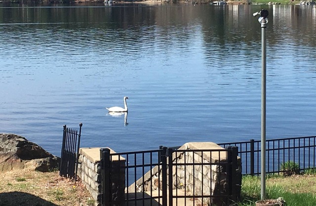 Waterfront, family oriented, large families get together 'Heaven here on earth'