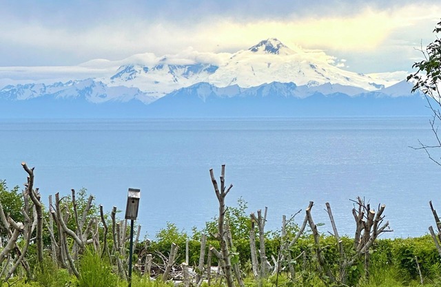 Waterfront retreat with stunning views of Iliamna Volcano: The View - Full House