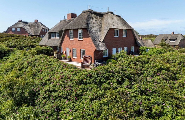 Wattblick. Thatch. Kampen.