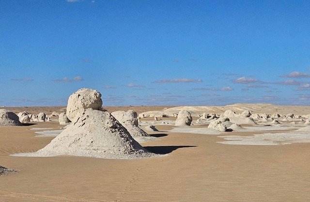 We organize safari trips to white desert