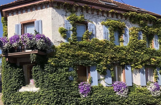 Weinberg-Ferienwohnung, Oberrotweil