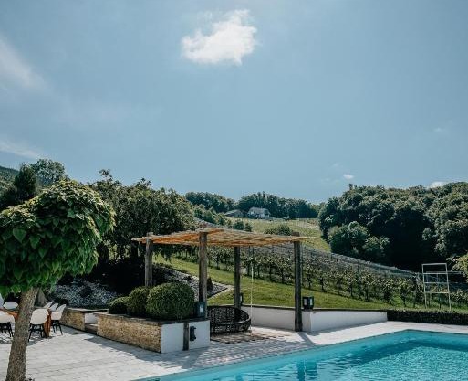 Weingut Holler Chalet Weingarten