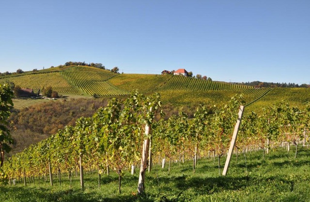 Weingut Kögl