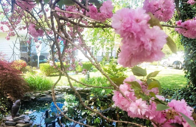 Welcome to vacation paradise