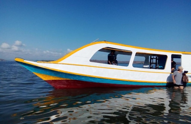 Whale sharks tour agency