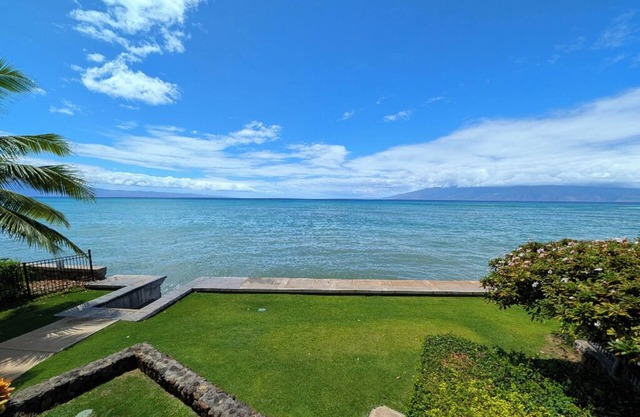 Whale watching from your direct ocean front condo!