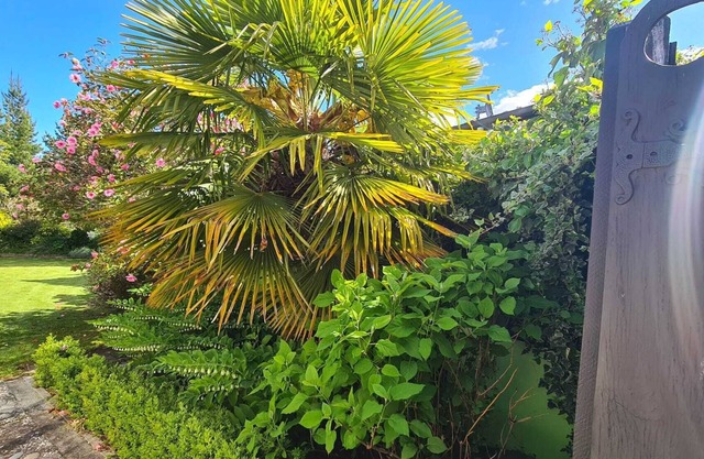 Where comfort meets the mountains—close to everything,spacious,and pet-friendly!