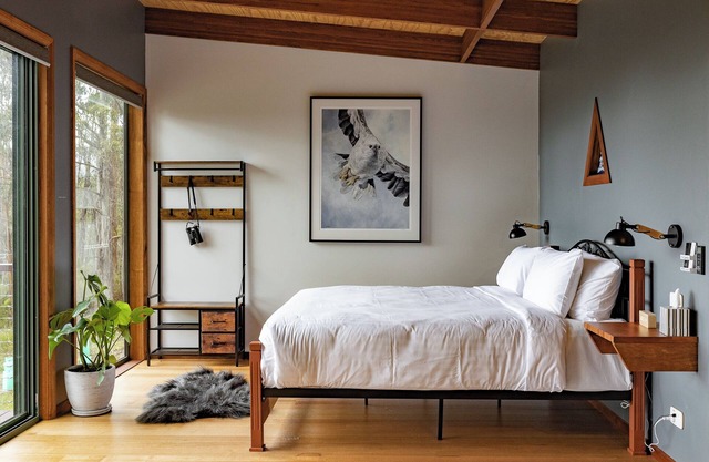 White-bellied Sea Eagle Studio