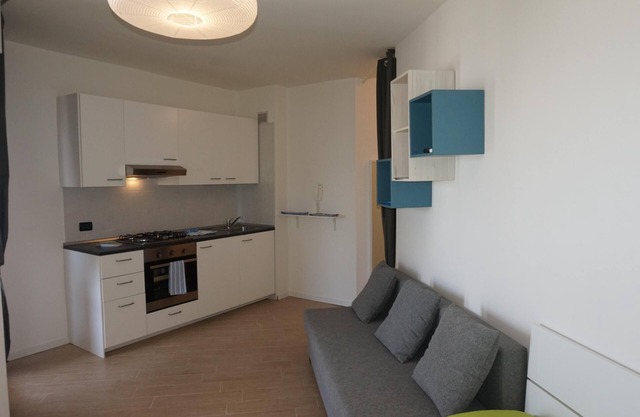White Black - Large one room apartment