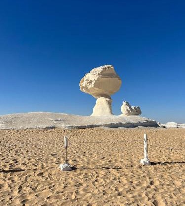 White Desert Safari With Camping