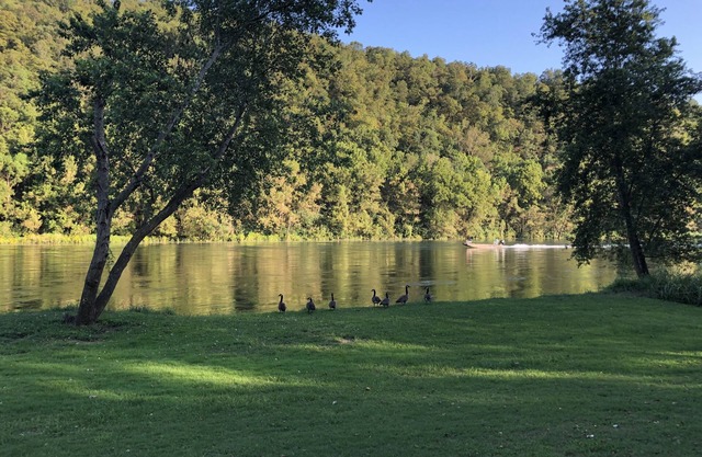 White River Fishing Lodge, Overlooking the River w/Private Landing & Boat Ramp