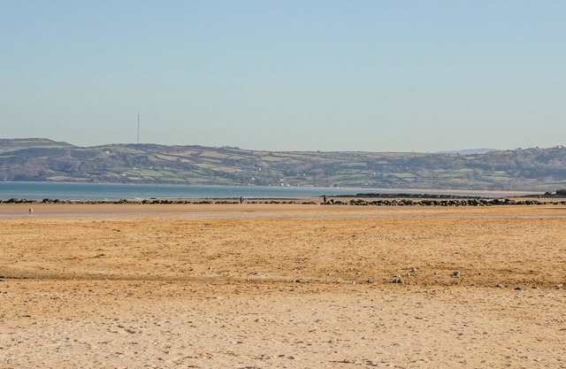 Willow Tree Farm House