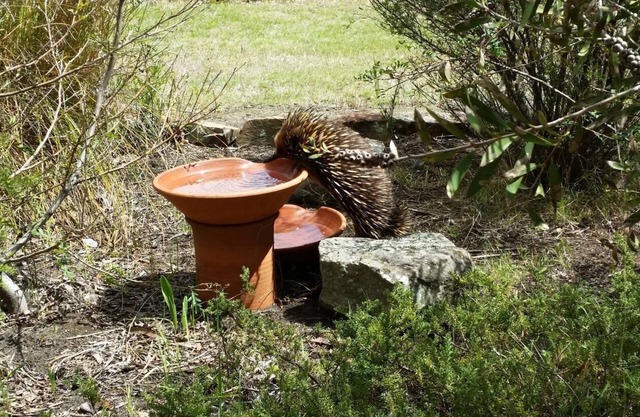 Wind Song Bed & Breakfast