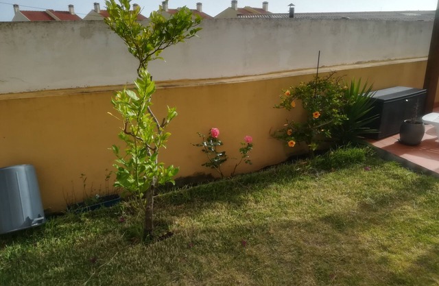 Windmill Ericeira Garden