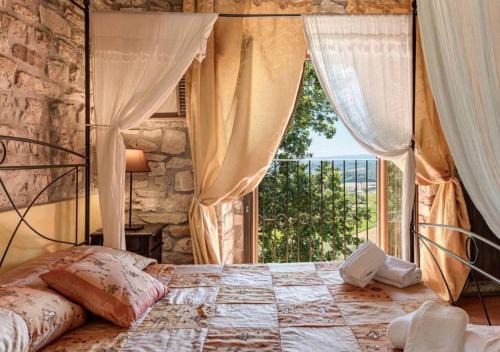 Wine Experience - Villa Aurora - Villa Diamante