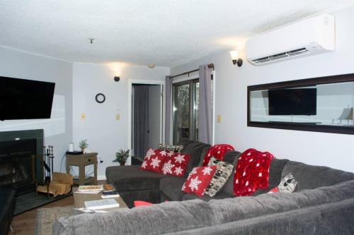 Winterplace Condos - Ski In Ski Out! E101