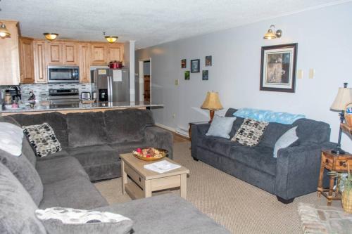 Winterplace Condos - Ski in Ski out E104
