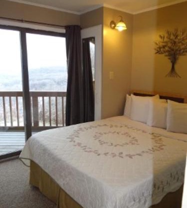 Winterplace Ski in Ski out condo First Floor D103