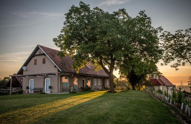 Winzarei, Weingut Tement