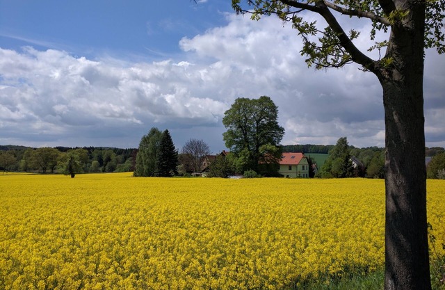 With style in nature