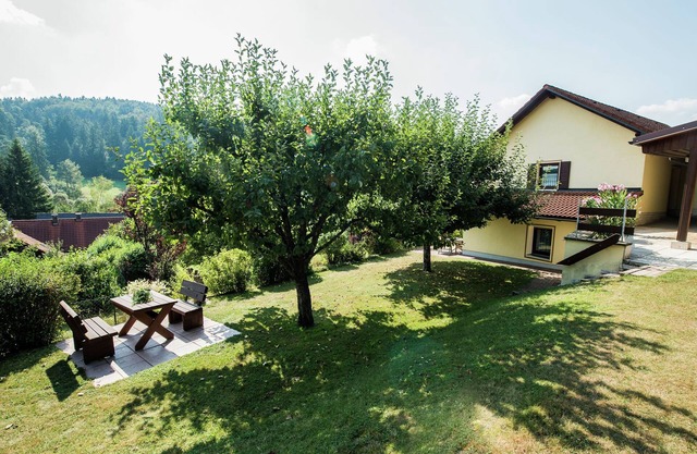 Wohnung in Waldnähe in Plankenstein