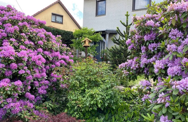 Wohnung nahe Inselsberg Wanderwege